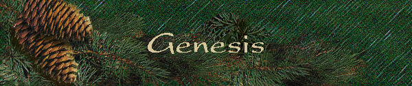 Genesis