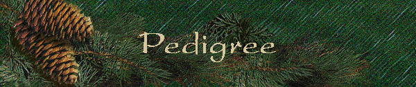 Pedigree